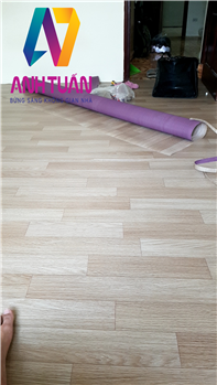 san-nhua-vinyl-hay-con-goi-san-nhua-cuon 